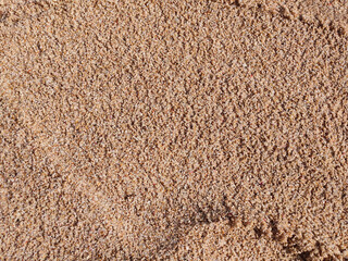 Beach sand background texture, top view , Vacation and holiday concept background.