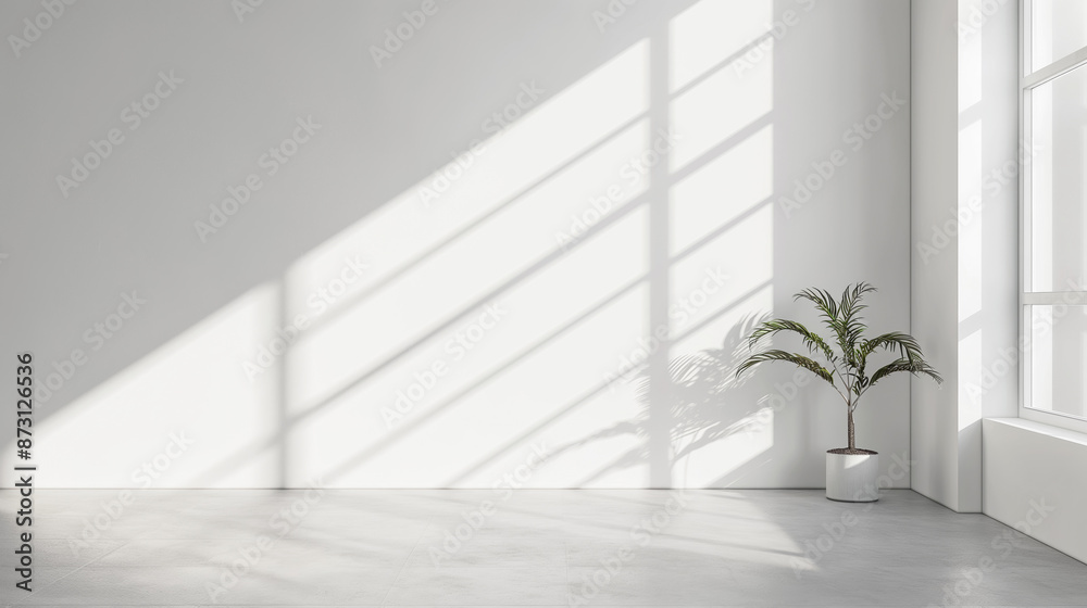 Poster white empty room with soft sun light going through the window, white studio room with white vase in 