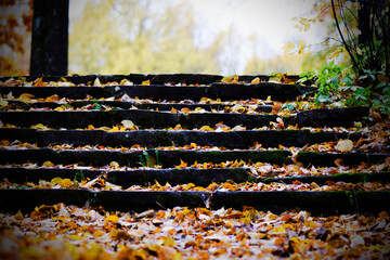 Autumn stairs