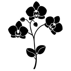 Graceful Silhouette of Orchid Stem with Buds and Blooms: Ideal for Elegant Designs vector 