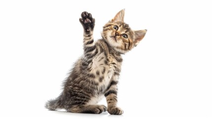 Cute Tabby Kitten Waving Paw. Generative AI.