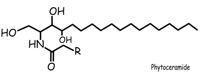 Chemical, organic structure : phytoceramide