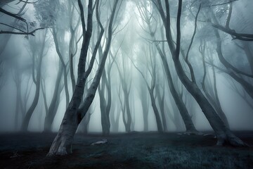 A dense forest with tall trees shrouded in thick fog. The light shines through the canopy, casting an eerie glow on the scene.