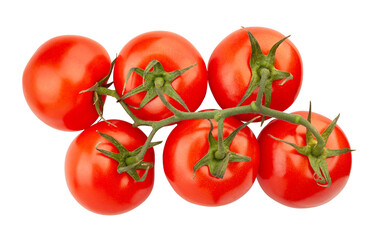 tomato branch path isolated on white top view