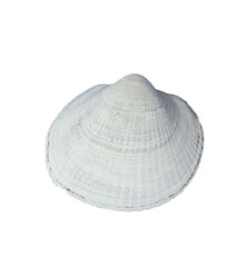 White shell is lying on a white background showing its ridges