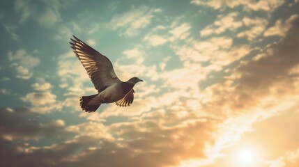 Obraz premium A lone dove glides gracefully through a sky filled with vibrant golden clouds at sunset