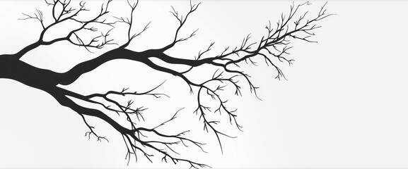 Fototapeta premium Branches in vector graphics, using simple lines and minimalism against a white background in monochrome.