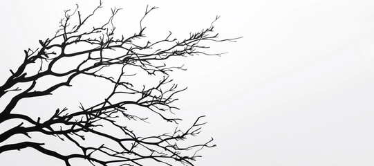 Obraz premium Black tree branches on a white background in a vector illustration using a flat design with a minimalist style, simple lines, and simple shapes.