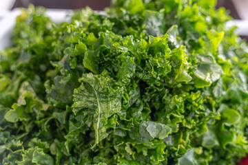 Bunch of Kale used to make healthy salad