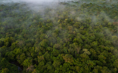 Evapotranspiration of the forests surrounded by the Nanay River, landscapes of the Nanay River,...