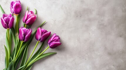 Versatile flower arrangement with purple tulips for Women s Day and Mother s Day theme Spacious for text top down view on flat surface