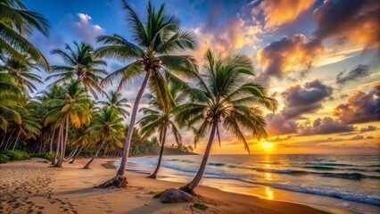 Obraz premium Serene warm tropical sunset landscape featuring majestic palm trees swaying gently on a tranquil deserted pristine sandy beach coastline.