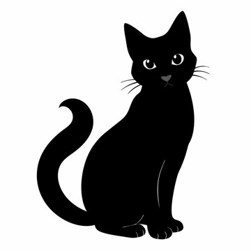 black cat sitting, white background