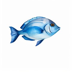 A surgeonfish watercolor illustration on white background.