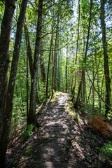 Fototapeta premium La Mauricie National Park, Quebec