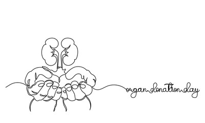 Continuous line drawing of World Organ Donation Day with kidney for Transplantation, Hand holding human realistic liver, heart, kidneys, lungs. World Organ Donation Day is on the 13th of August.
