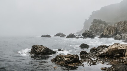 Obraz premium fog hangs over the rocky coast on an odd day,