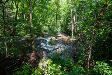 Fototapeta premium La Mauricie National Park, Quebec