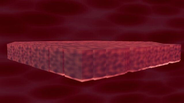 red meat animation, epidermis layer concept, steak, human cells and tissues concept, cancer cells in meat and flesh contracting and expanding, non vegan