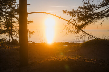 Summer sunset over the beach. F&auml;boda, Finland