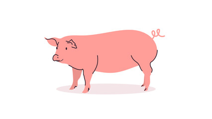 Cute pig and funny cartoon animal concept flat vector illustration.	
