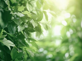Lush green foliage with soft sunlight, natural and refreshing, calming and peaceful, suitable for presentations, posters, and banners, high resolution, photorealistic 