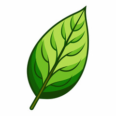 leaf clipart cartoon Illustration drawing