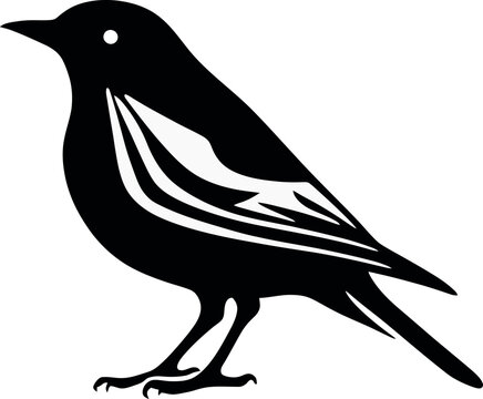 birt silhouette vector design