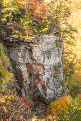 Every rock in Cloudland holds a piece of history, a fragment of the ancient world preserved in stone, Cloudlands State Park, Rising Fawn, Georgia