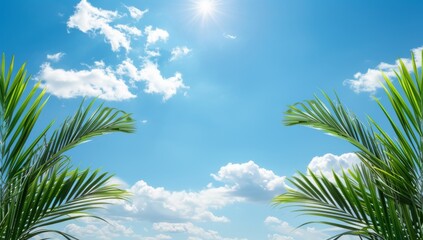 A view of palm leaves from below, a blue sky with clouds, the sun shining through the trees, a tropical vibe