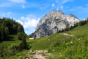 Fototapeta premium mountain landscape with high cliffs, a pasture with alpine hut and coniferous forest