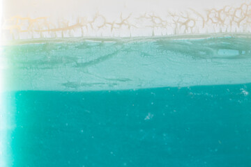 Abstract Blue and White Texture