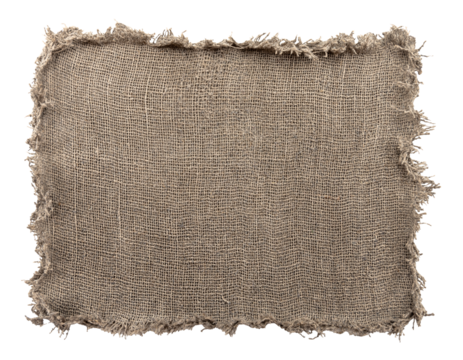 Burlap texture. A piece of torn burlap on a white background. Canvas. Packing material