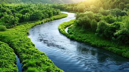 Fototapeta premium Lush Green River Winding Through a Forest of Trees, Sunbeams Shining Through the Foliage