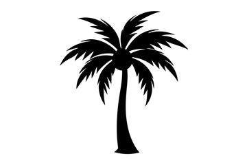 palm tree silhouette vector illustration