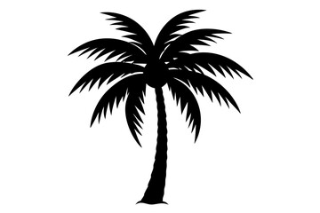 palm tree silhouette vector illustration