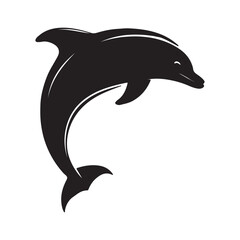 dolphin isolated on white background