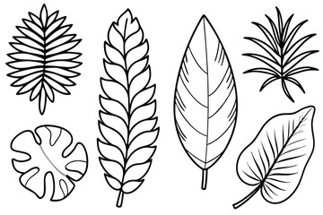 Tropical Leaves Line Art Creative Linear Drawing