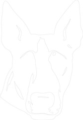 Bull Terrier outline