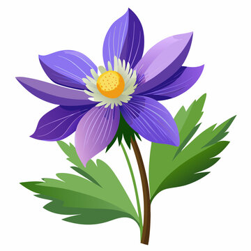 purple flower blossom on white background clip art preview