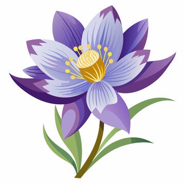 purple lotus flower isolated on white clip art preview