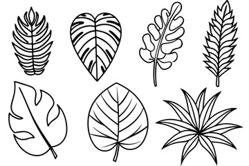 Tropical Leaves Line Art Intricate Line Drawing