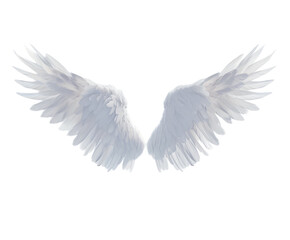 Obraz premium White angel wings on a white background.