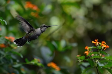 iridescent hummingbird midflight jeweltoned feathers shimmer as the bird hovers before an exotic neonbright flower gossamer wings blur with motion set against a bokeh forest background