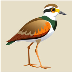 Cute Bird Cartoon Vector 