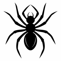 Halloween spider black vector silhouette