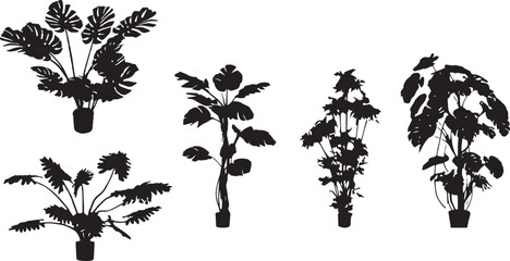 Plant Pot line silhouettes - side view set 5 (monstera) © GRASSS.H