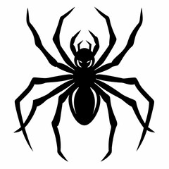 Halloween spider black vector silhouette