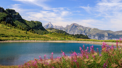 vallée du giffre samoens
