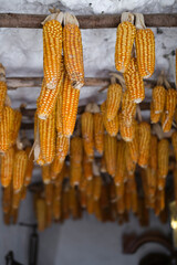traditional dried corn hobs